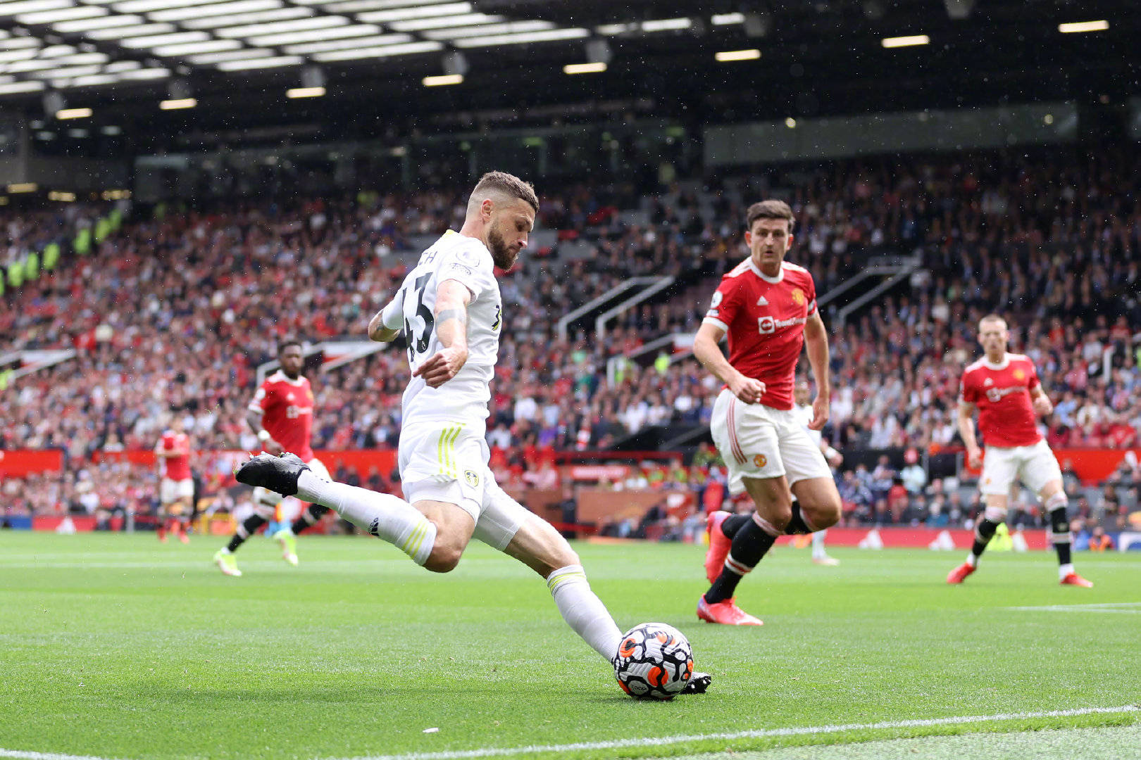 为许多年轻 为许多年轻