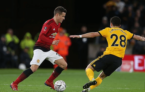 鹰派与鸽派 鹰派与鸽派